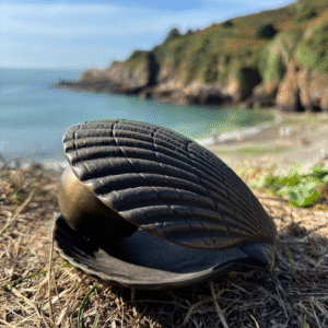 Cremation Mini Urn Pearl In Shell For Ashes Memorial Bronze Sculpture
